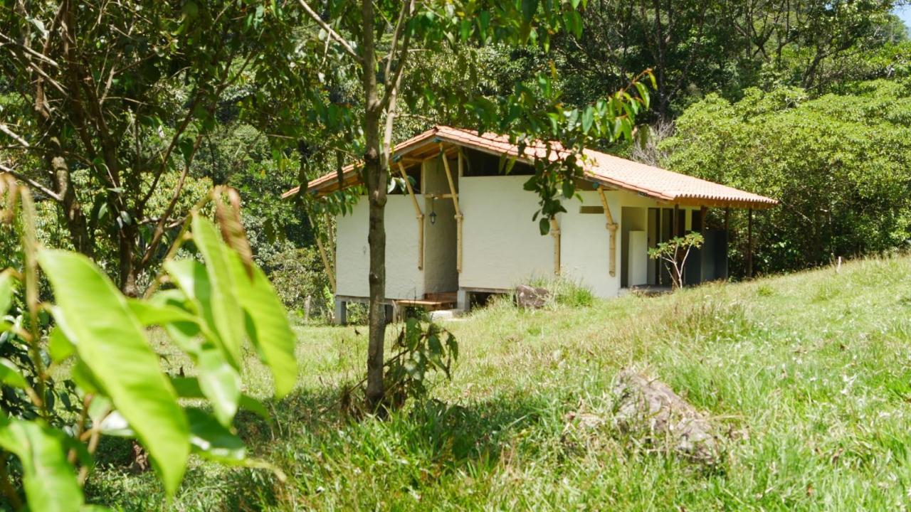 La Perla Negra - Black Pearl Eco Hostel San Rafael  Extérieur photo