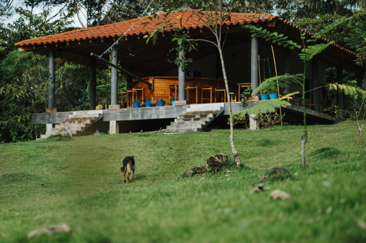 La Perla Negra - Black Pearl Eco Hostel San Rafael  Extérieur photo