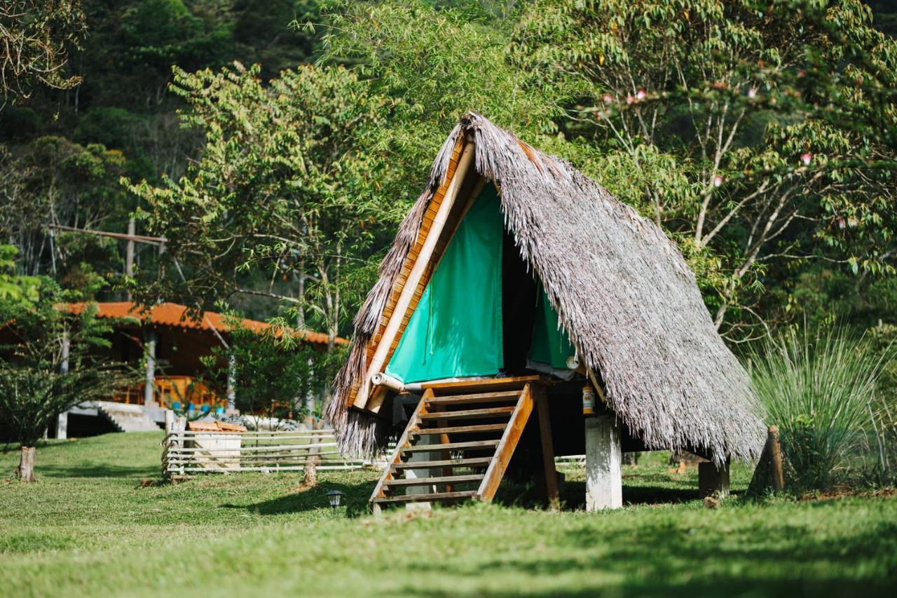 La Perla Negra - Black Pearl Eco Hostel San Rafael  Extérieur photo