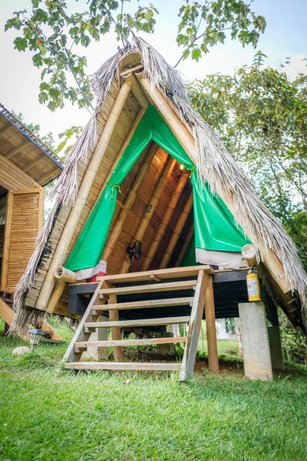 La Perla Negra - Black Pearl Eco Hostel San Rafael  Extérieur photo