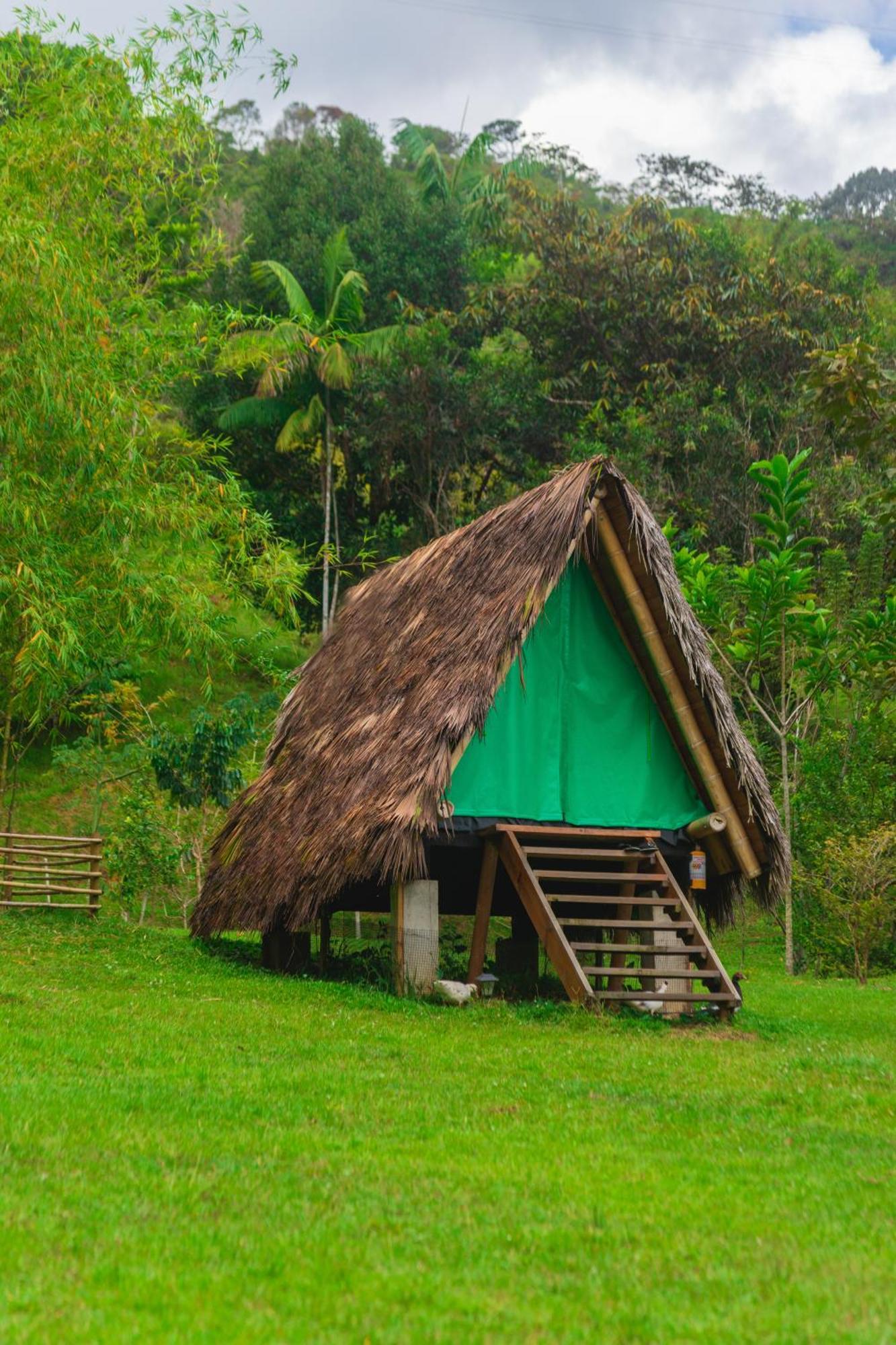 La Perla Negra - Black Pearl Eco Hostel San Rafael  Extérieur photo