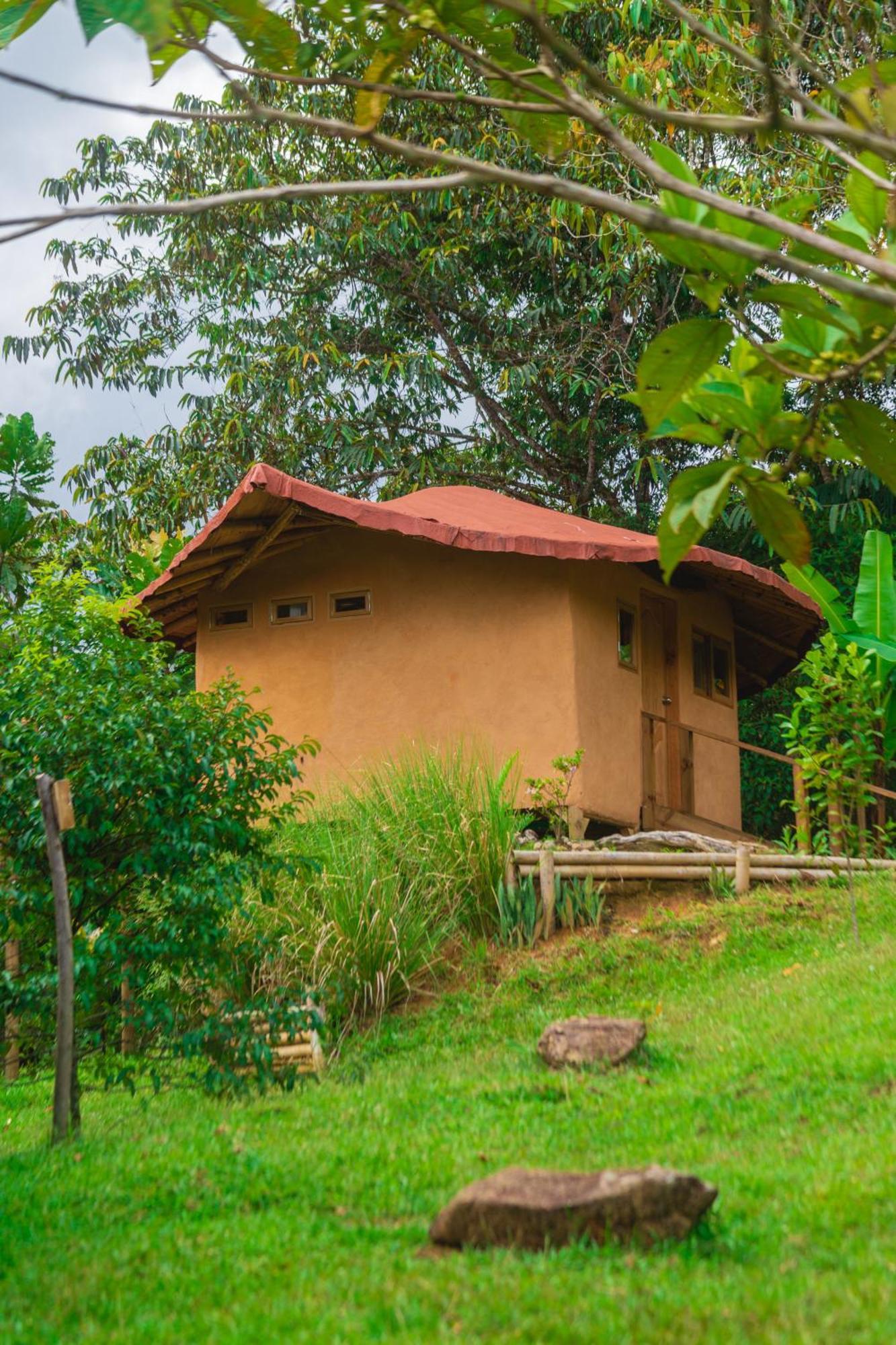 La Perla Negra - Black Pearl Eco Hostel San Rafael  Extérieur photo